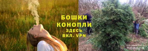ПСИЛОЦИБИНОВЫЕ ГРИБЫ Богданович