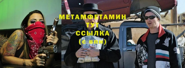 ПСИЛОЦИБИНОВЫЕ ГРИБЫ Богданович