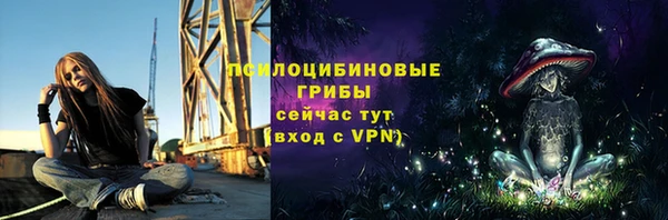 тгк Белокуриха