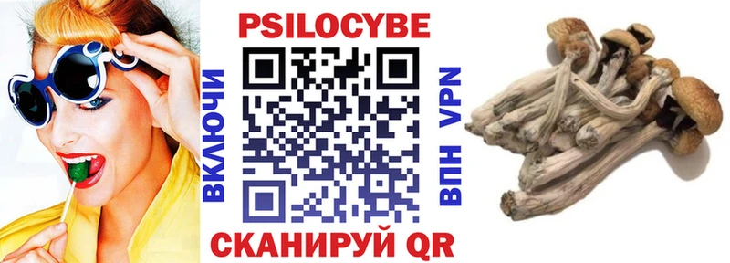 Галлюциногенные грибы мухоморы  Катав-Ивановск 